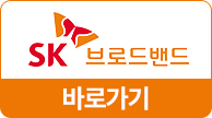  SKε
